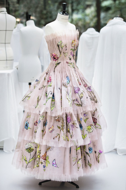 Что надо знать о новом Miss Dior и как встретили аромат в Украине - «Новости красоты»